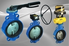 Centric-type-butterfly-valve-1
