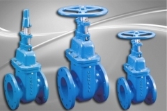 Sluice-Valve-1